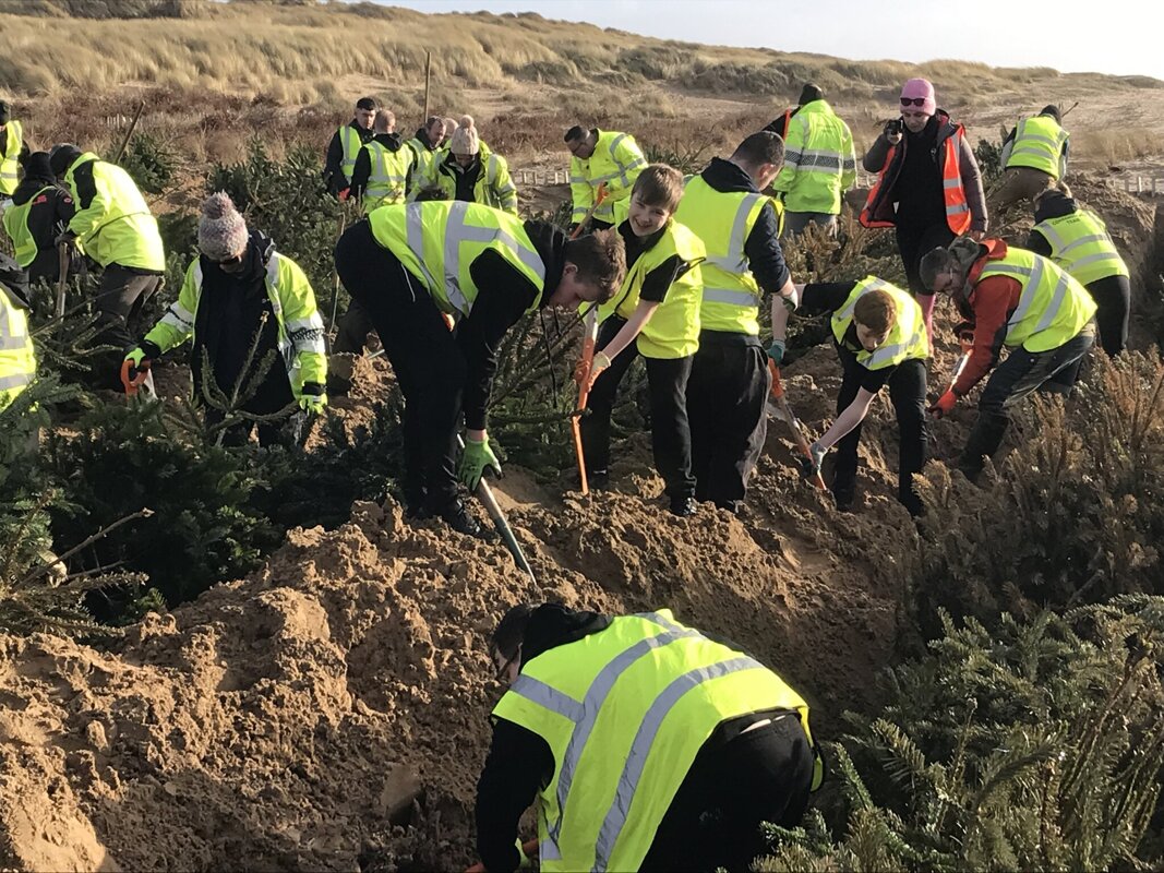 Image of The Fylde Sand Dune project - update